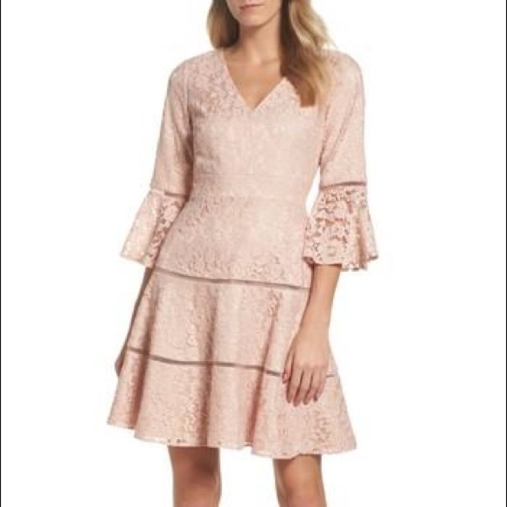 Blush Eliza J Lace Fit and Flare Dress w/ V neck